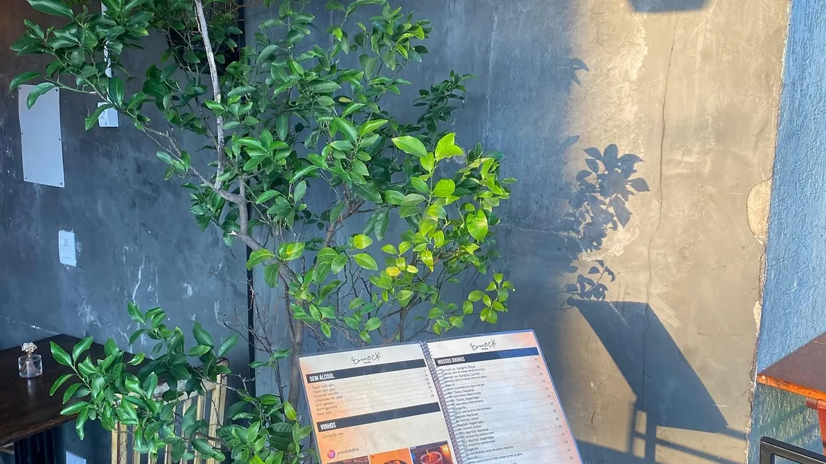 Parede de entrada com as plantas penduradas e o letreiro de drinks e petiscos